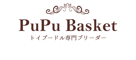 PuPu Basket トイプードル専門ブリーダー